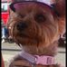 Wendy Slack - Facebook