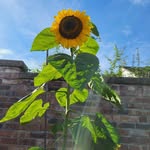 Wendy Smart - @smartw67 - Instagram
