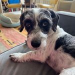 Wendy Sobel - @wendytheweirdy - Instagram
