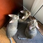 Wendy Spano Bracco - @wspano - Instagram