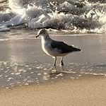 Wendi Rowlinson Sparling - @wendilady3 - Instagram