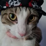 Wendy Sparrow Baj - @wendysparrowbaj - Instagram