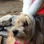Wendy Spaulding Darienzzo - @darienzzowendy - Instagram