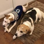 Wendy Spear - @spear.wendy - Instagram