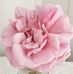 Wendy Shults Spearman - Facebook