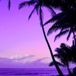 Wendy Speer - @wendyspeer75 - Instagram