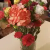 Wendy Speers375 - @wendyspeers375 - TikTok