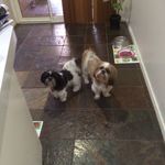 Wendy Spence - @spence_wendy - Instagram