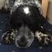 Wendy Sperling - Facebook
