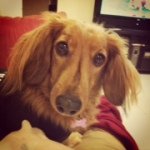 Wendy Spicer - @wendy_spicer_59 - Instagram