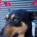Wendy Spinelli - Facebook