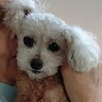 Wendy Spinks - @japanesewendy - Instagram