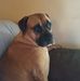 Wendy Spinks - Facebook