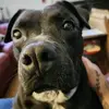 Wendy Spraggins - @wendy.spraggins - TikTok