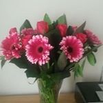 Wendy Spratt - @wendyspratt77 - Instagram