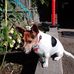 Wendy Spring - Facebook
