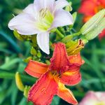 Wendy Spring - @wendyspring15 - Instagram