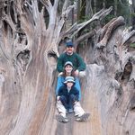 Wendy Spring Silverman - @wssilverman - Instagram