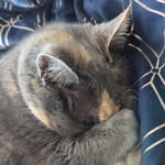 Wendy Bull-Spurrell - @wendyspurrell_ - Instagram