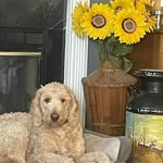 Wendy Squires - @wendy.squires.986 - Instagram