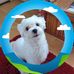 Wendy Stackhouse - Facebook