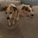 Wendy Stacks - @wendy.stacks.3 - Instagram