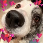 Wendy Stamp - @wendystamp.burnhamnorth - Instagram
