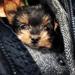Wendy Stamps - @stamps9339 - Instagram