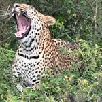 Wendy Stanger - @stangerwendy - Instagram