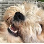 Wendy Stanley - @wendylucystanley - Instagram
