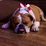 Wendy Stanley Erickson - @stanleyerickson - Instagram