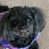 wendystanton595 - @wendystanton595 - TikTok