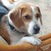 Wendy Stanworth - Facebook