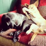 Wendy Staples - @staplesw68 - Instagram