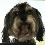 wendy staples - @staples_wendy - Instagram