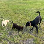 Wendy Staples Buehrer - @wbuehrer - Instagram