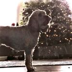 Wendy Stapleton Benzee - @wbenzee - Instagram