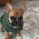 Wendy Stark - @stark_wendy - Instagram