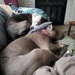 Wendy Stark - @wendy_stark68 - Instagram