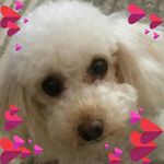 Wendy Starkey - @wendy.starkey.92 - Instagram