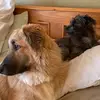 Wendy Starnes - @wendy.starnes6 - TikTok