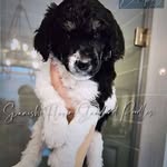 Wendy Starnes - @wendy.1np4u - Instagram