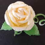 Wendy Stead - @wendlace - Instagram