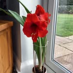 Wendy Steadman - @wendy_steadman123 - Instagram