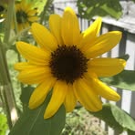 Wendy Steadman - Facebook