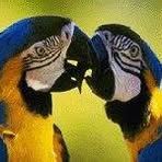 Wendy Steele - Facebook