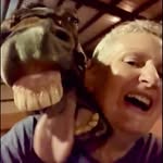 Wendy Steele - @wendysteeleor - Instagram