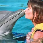 Wendy Steele - @steele_wen - Instagram