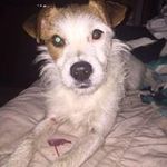 Wendy Steiger - @wendysteiger - Instagram