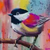 wendystein58 - @wendystein58 - TikTok